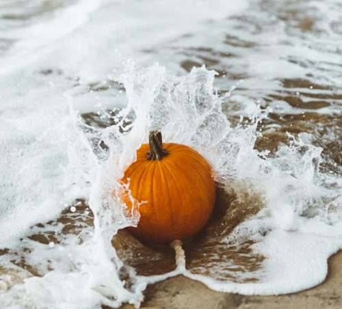 pumpkin in waves on the beach
